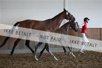181804_mlm_02_R62_0799.JPG