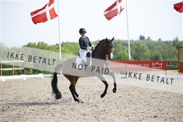 181449_kbb_02_6II1423.JPG