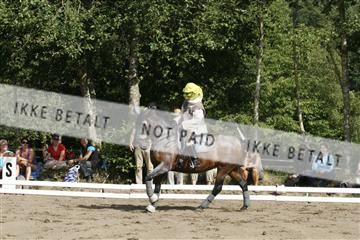 5925_gn_02__MG_7935.JPG