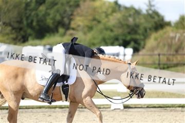 181894_mtp_05_R62_4839.JPG