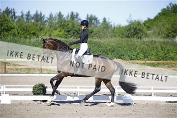 181449_kbb_01_6II9006.JPG