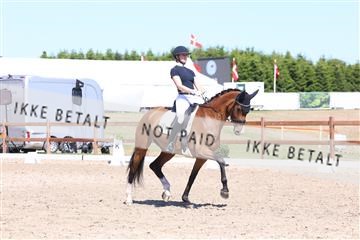 181449_bc_01R62_5798.JPG