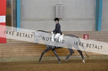 144288_abo_01__AB22425.JPG