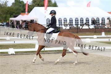 181894_mtp_05_R62_4477.JPG