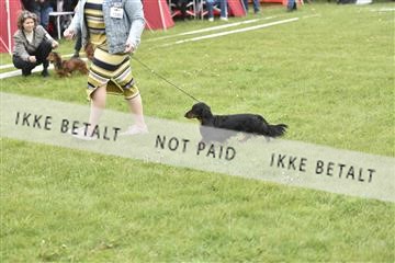 162688_bkn_01__BKN0005.JPG