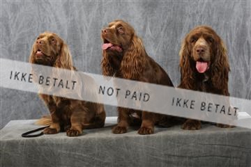 129608_le_ 01_0756.JPG