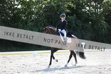 172073_mtp_01_3M5A4741.JPG