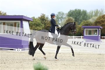 181923_mtp_04_R62_8582.JPG