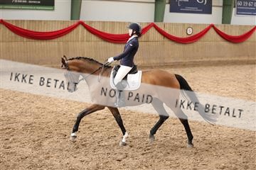 171342_mtp_01_3M5A7874.JPG