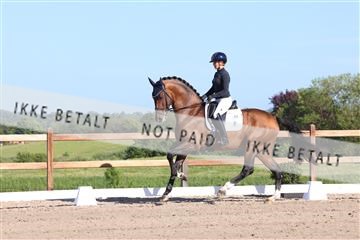 181449_bc_01R62_6201.JPG