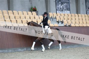 181852_mtp_02_R62_1798.JPG