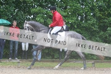 135518_ms_01_IMG_1103.JPG