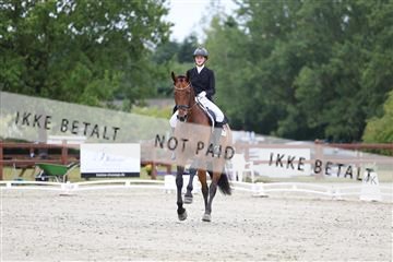 181923_mtp_01_R62_6291.JPG