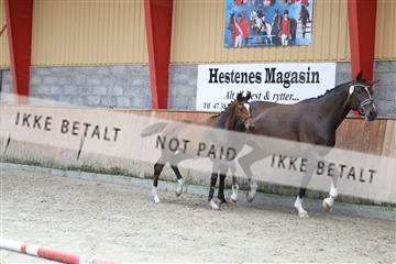 181868_mtp_03_R62_6059.JPG