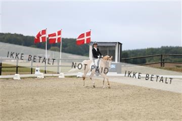 181894_mtp_04_R62_3380.JPG