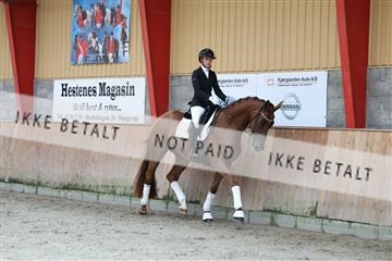 181867_mtp_02_R62_4587.JPG