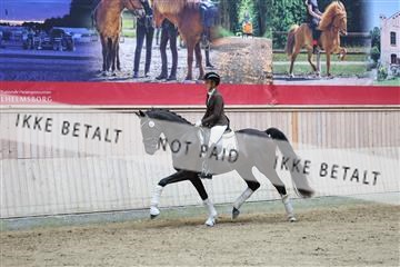 181887_mtp_04_R62_8618.JPG