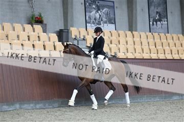 181852_mtp_02_R62_1788.JPG