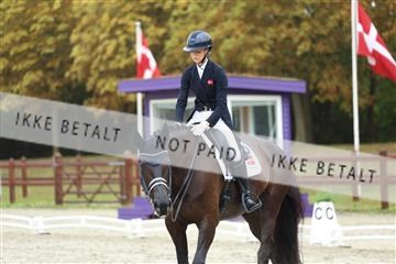 181923_mtp_03_R62_7881.JPG