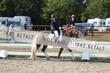 181894_mtp_05_R62_5164.JPG