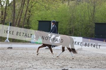174512_mtp_01_3M5A7054.JPG