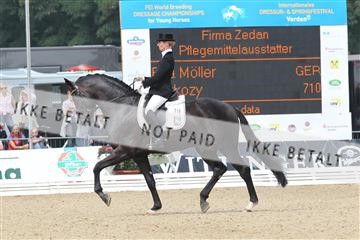 125527_BC_02_IMG_7434.JPG
