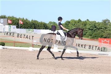 181449_bc_01R62_6281.JPG