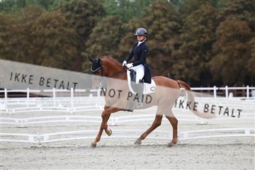 181923_mtp_01_R62_6215.JPG