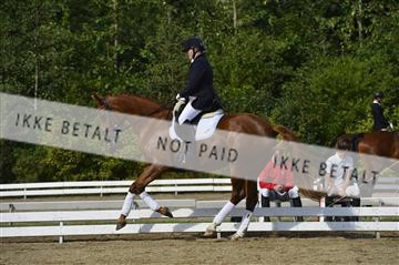136195_abo_01__AB15571.JPG