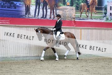181887_mtp_04_R62_8770.JPG