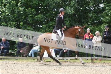 135518_ms_01_IMG_1479.JPG