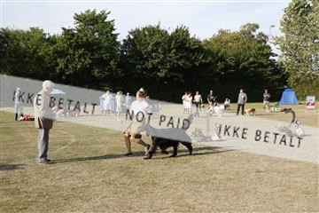 181848_kar_01__62_3025.JPG