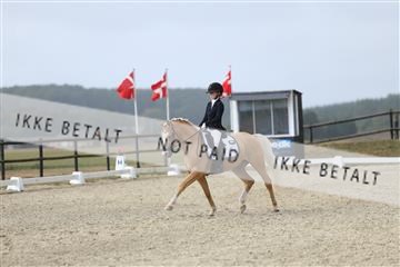 181894_mtp_04_R62_4008.JPG