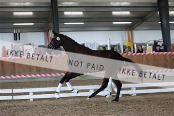 181756_mtp_01_R62_1555.JPG
