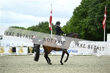 181449_kbb_03_Z090622.JPG