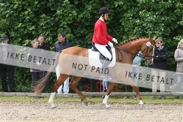135518_ms_01_IMG_1438.JPG