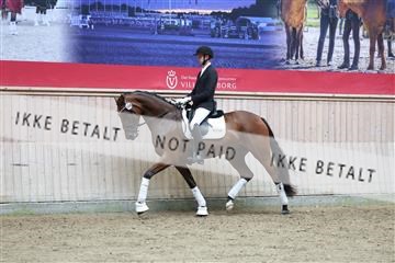 181887_mtp_04_R62_8771.JPG