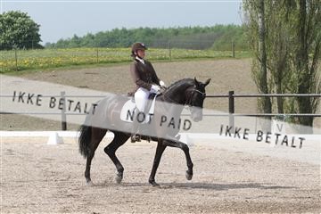 135086_sg_01_IMG_0207.JPG
