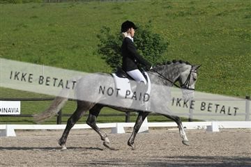 135086_sg_01_IMG_1747.JPG