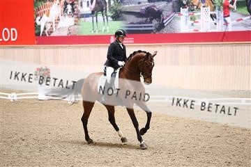 174186_kbb_01_R6II4577.JPG