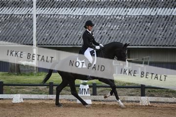 147698_nn_01_IMG_0921.JPG