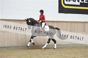 160111_nn_01__ESK1674.JPG