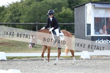 181894_mtp_05_R62_5047.JPG