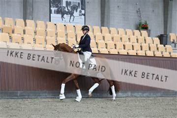 181852_mtp_01_R62_1110.JPG