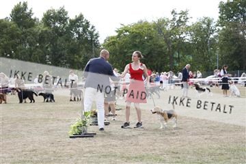 181848_kar_01__62_1071.JPG