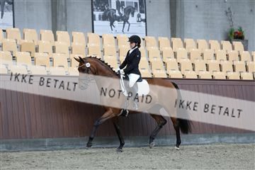 181852_mtp_01_R62_1203.JPG