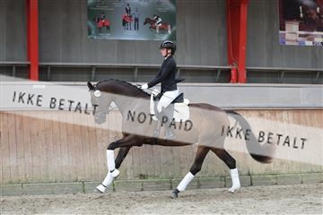 181867_mtp_02_R62_4800.JPG