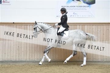 160111_nn_01__ESK1571.JPG