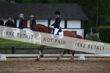 147698_nn_01_IMG_8902.JPG