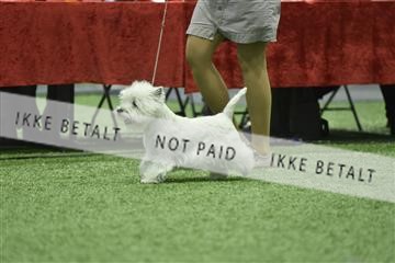 163793_bkn_01__BKN9063.JPG